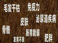 湖北卓昶科技有限公司