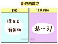 湖北卓昶科技有限公司