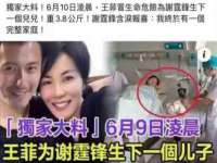 湖北卓昶科技有限公司