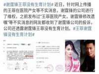 湖北卓昶科技有限公司