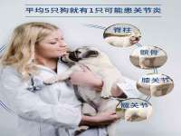 湖北卓昶科技有限公司