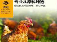 湖北卓昶科技有限公司