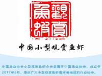 湖北卓昶科技有限公司