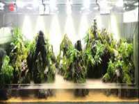 湖北卓昶科技有限公司