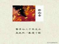 湖北卓昶科技有限公司