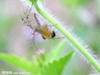 湖北卓昶科技有限公司