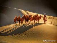 湖北卓昶科技有限公司