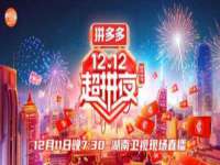 湖北卓昶科技有限公司
