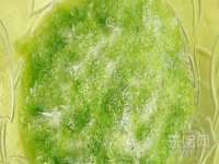 湖北卓昶科技有限公司