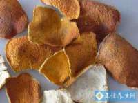 湖北卓昶科技有限公司