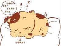 湖北卓昶科技有限公司