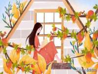 湖北卓昶科技有限公司