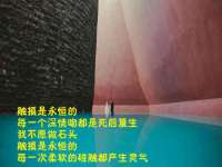 湖北卓昶科技有限公司