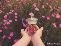 湖北卓昶科技有限公司