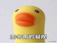 湖北卓昶科技有限公司