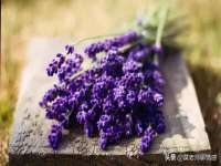 湖北卓昶科技有限公司