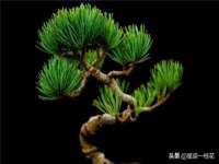 湖北卓昶科技有限公司