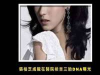 湖北卓昶科技有限公司