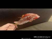 湖北卓昶科技有限公司